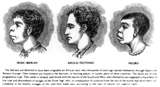 Illustration for article titled No, Egyptians Aren't White... But They Aren't Black Either